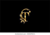 T.Gold Vicenza 2026