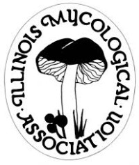 Illinois Mycological Association Display & Sale Glencoe 2026