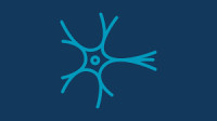Neurologie Refresher 16 CME Hamburg 2026