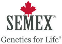 SEMEX Amman 2026