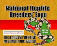 National Reptile Breeders' Expo Daytona Beach 2026